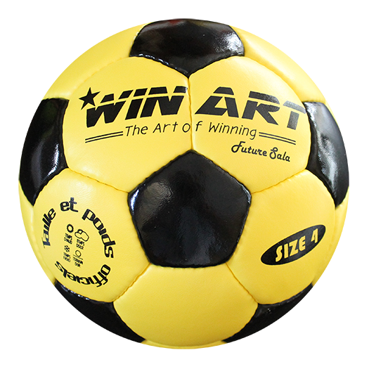 Winart Future Sala futsal labda
