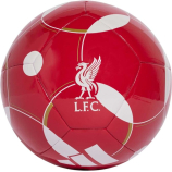 LIVERPOOL FC CLUB HOME focilabda