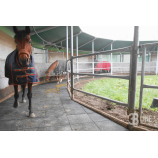 Polo gumilap állattartáshoz 50x1000x1000mm istállóba
