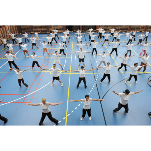 PVC padló, Grabosport Elite sport 3338-00-273