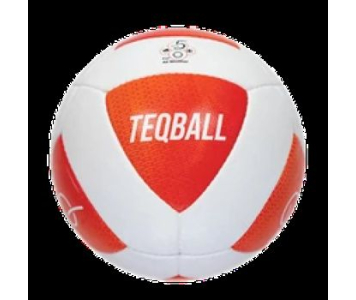TEQBALL labda 5-s méret 