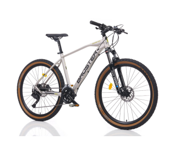 Broster Rangver 29er könnyűvázas MTB kerékpár 19" Szürke