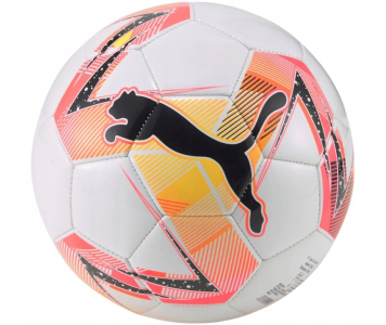Puma Hala futsal 